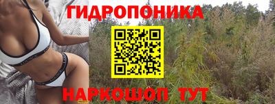MDMA Premium VHQ Брянск
