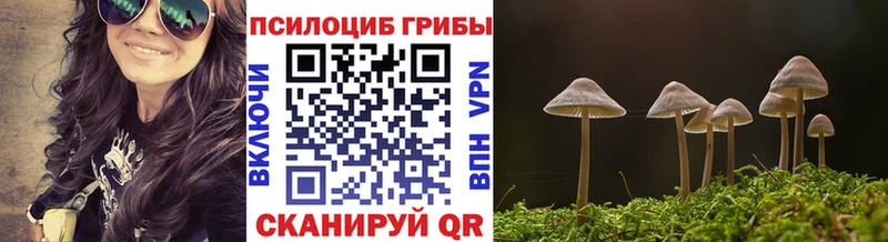 Галлюциногенные грибы мухоморы  Борисоглебск 
