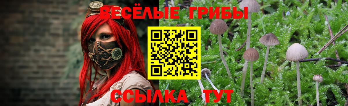 Псилоцибиновые грибы Psilocybine cubensis  даркнет сайт  Борисоглебск  Псилоцибиновые грибы Psilocybe  Вход с VPN 